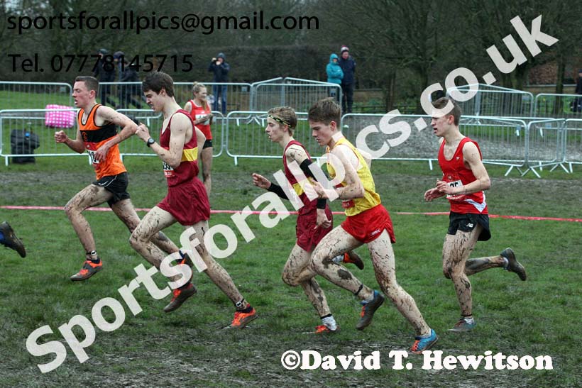 Senior boys 2019 New Balance English Schools Cross Country Champs, Temple Newsam, Leeds. Photo:  David T. Hewitson/Sports for All Pics